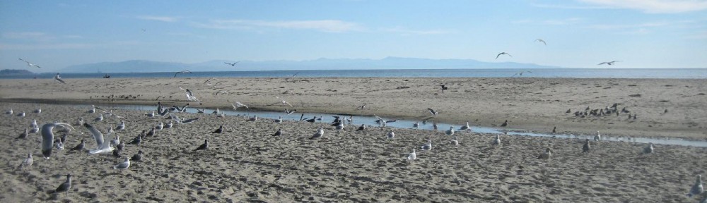 rsts11 – Robert Novak on system administration